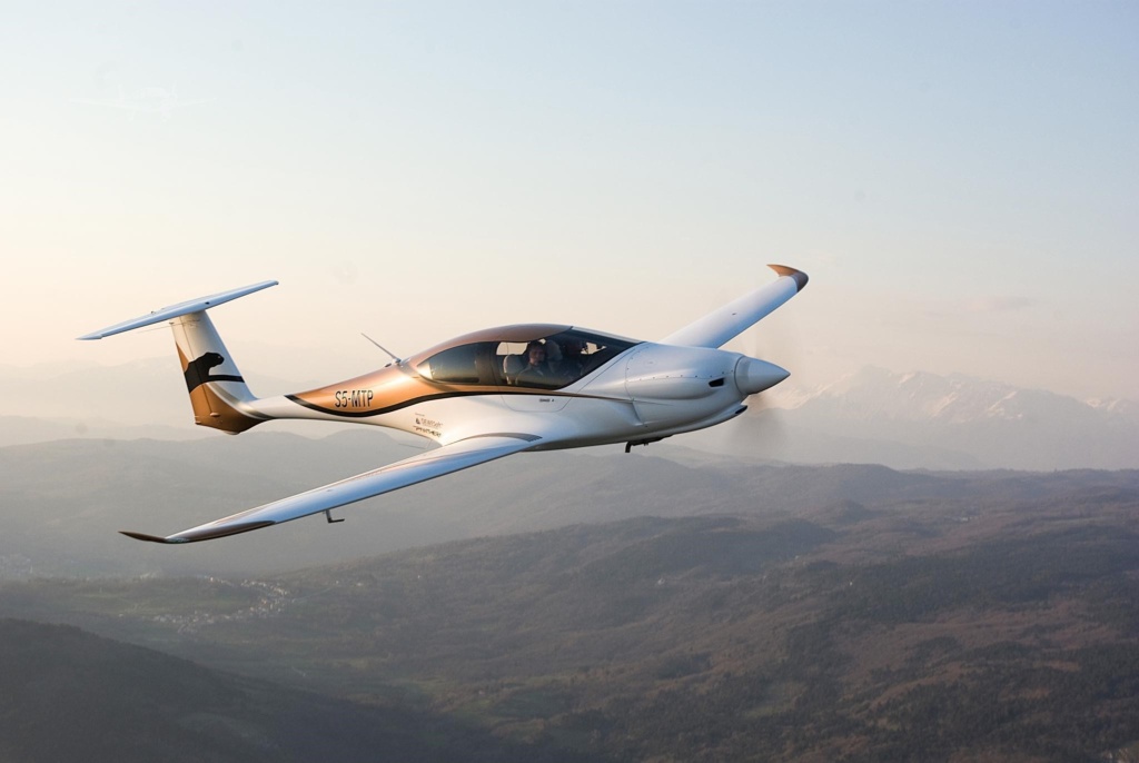 Panthera | Pipistrel